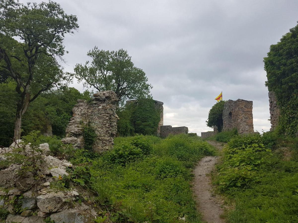 Ferienwohnung Hegau- Bodensee Og Muhlhausen-Ehingen 외부 사진